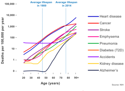 Aging as a risk factor for common diseases