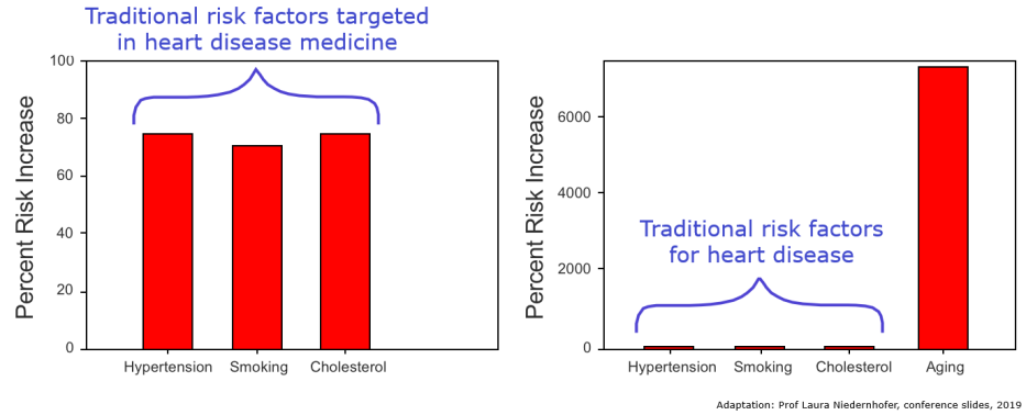 Aging dwarfs all other risk factors for heart disease